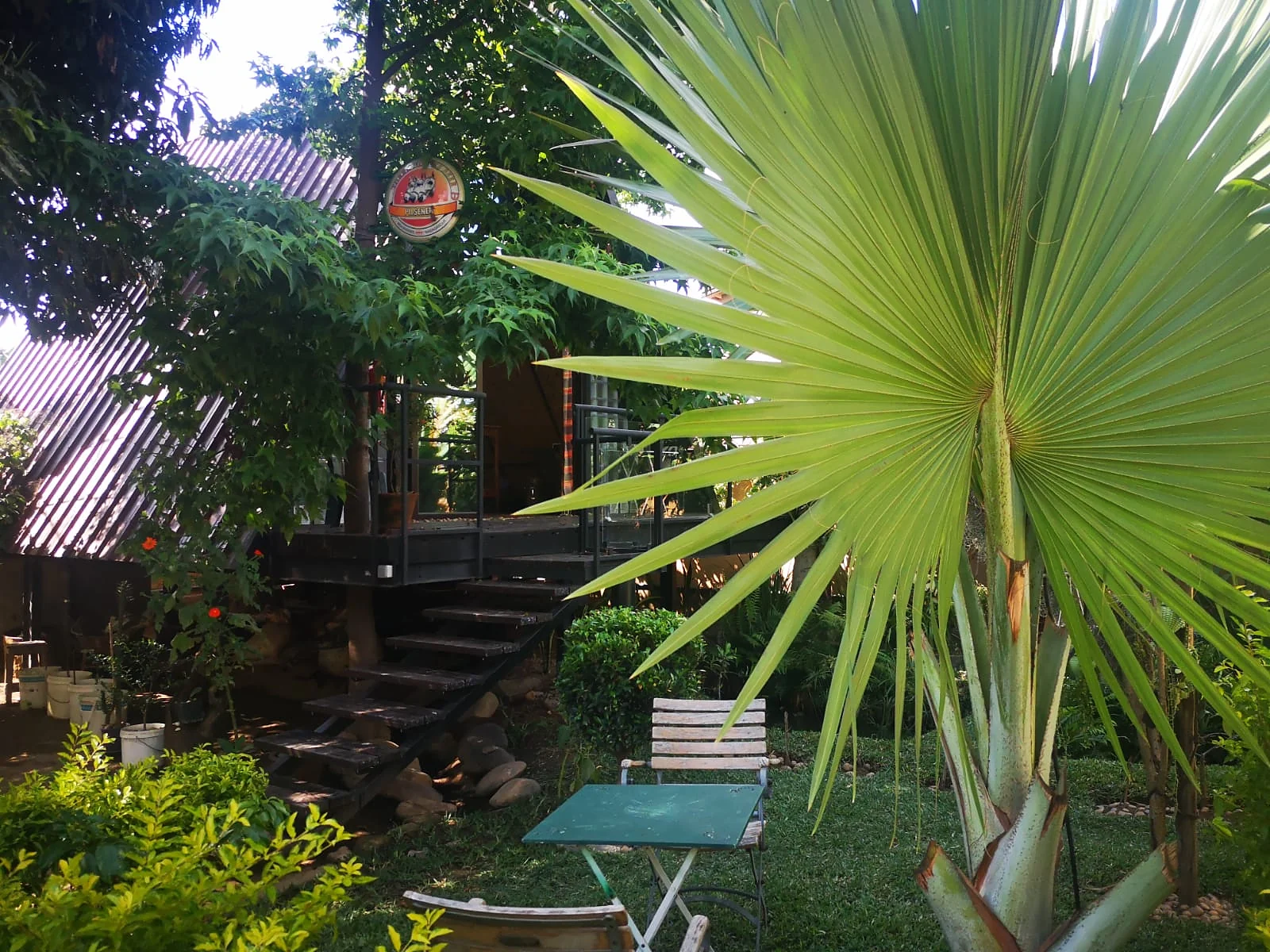 Le jardin du B&B Cinéroutes avec une table, des chaises et un palmier éventail, à Andoharanofotsy