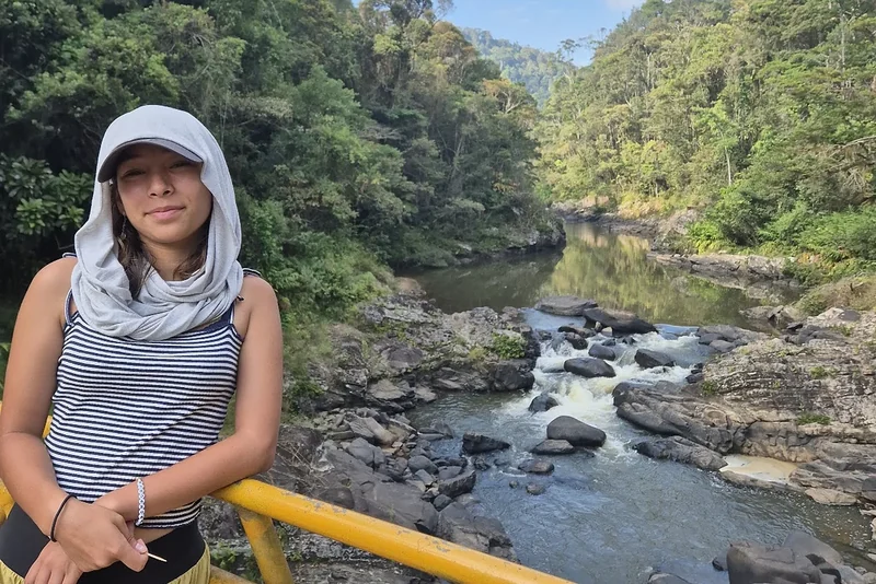 A traveller on a bridge above a rainforest river