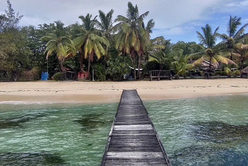 A wooden jetty leading to a palm-lined beach at Mahambo