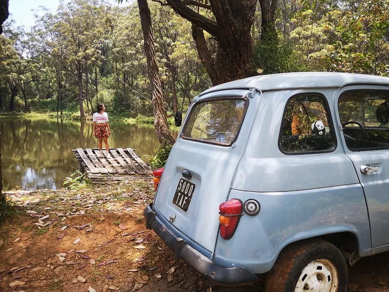 Een lichtblauwe Renault 4 bij een meer in het bos