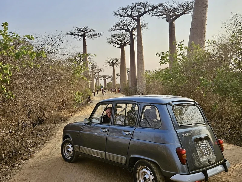 A grey Renault 4 on the Avenue of the Baobabs