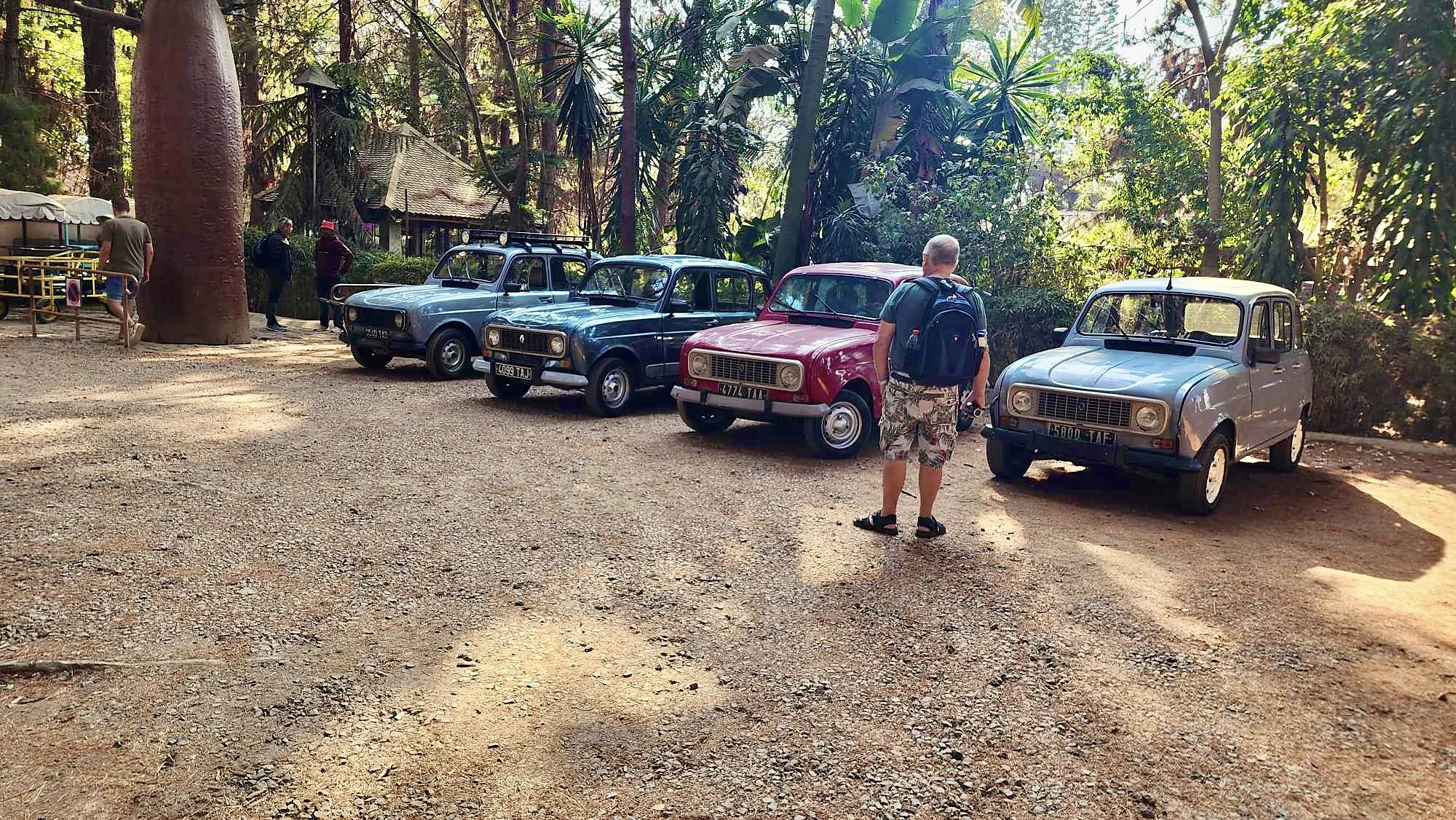 Vier van onze Renault 4’s naast elkaar in een tropische tuin, met een reiziger met rugzak die ernaar kijkt